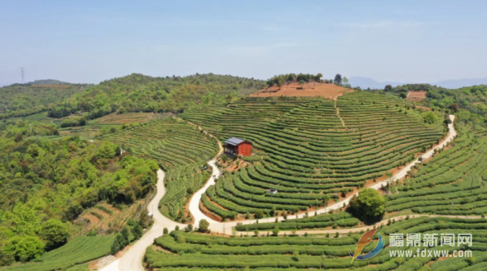 团市委：举行bet365青年之家暨bet365三中劳动研学基地授牌仪式