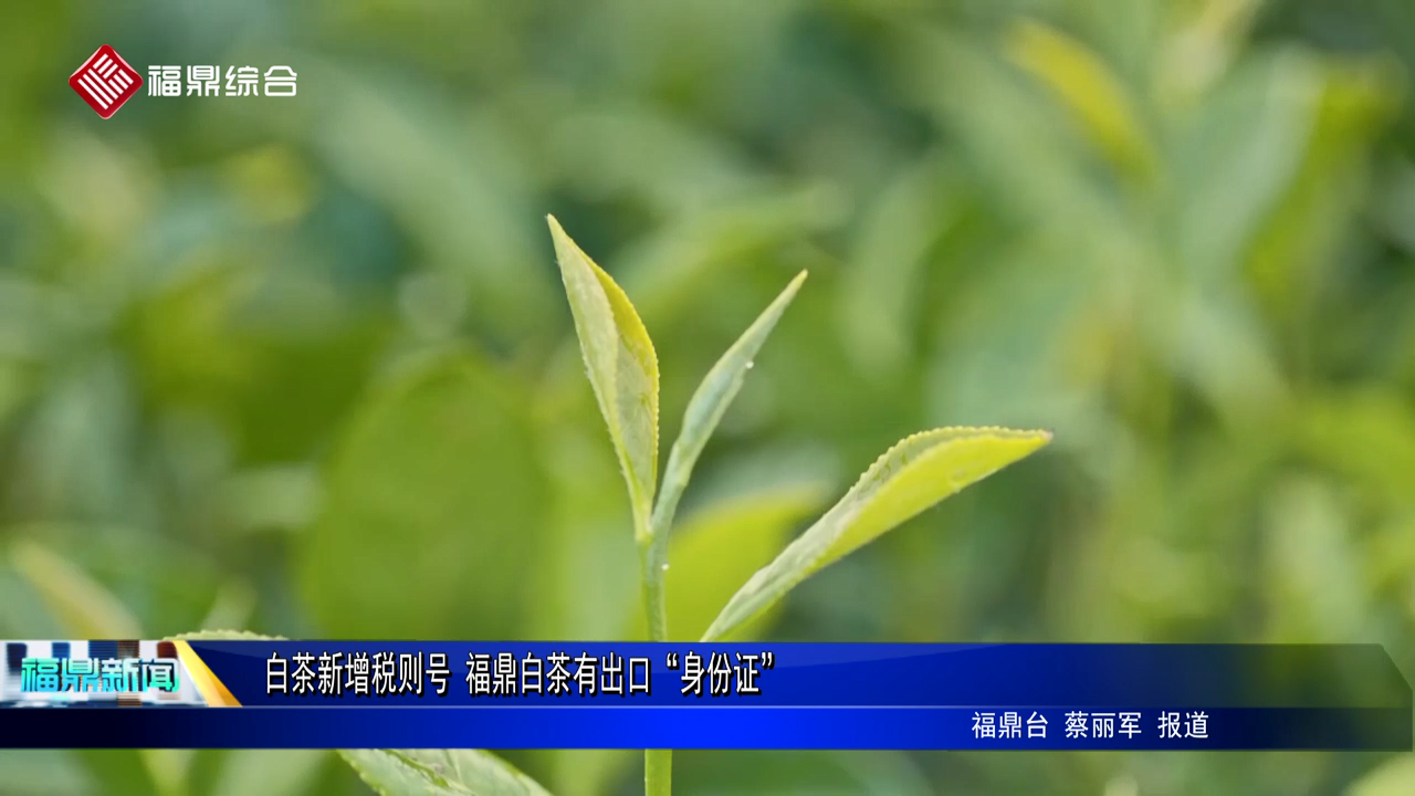 白茶新增税则号 bet365白茶有出口“身份证”