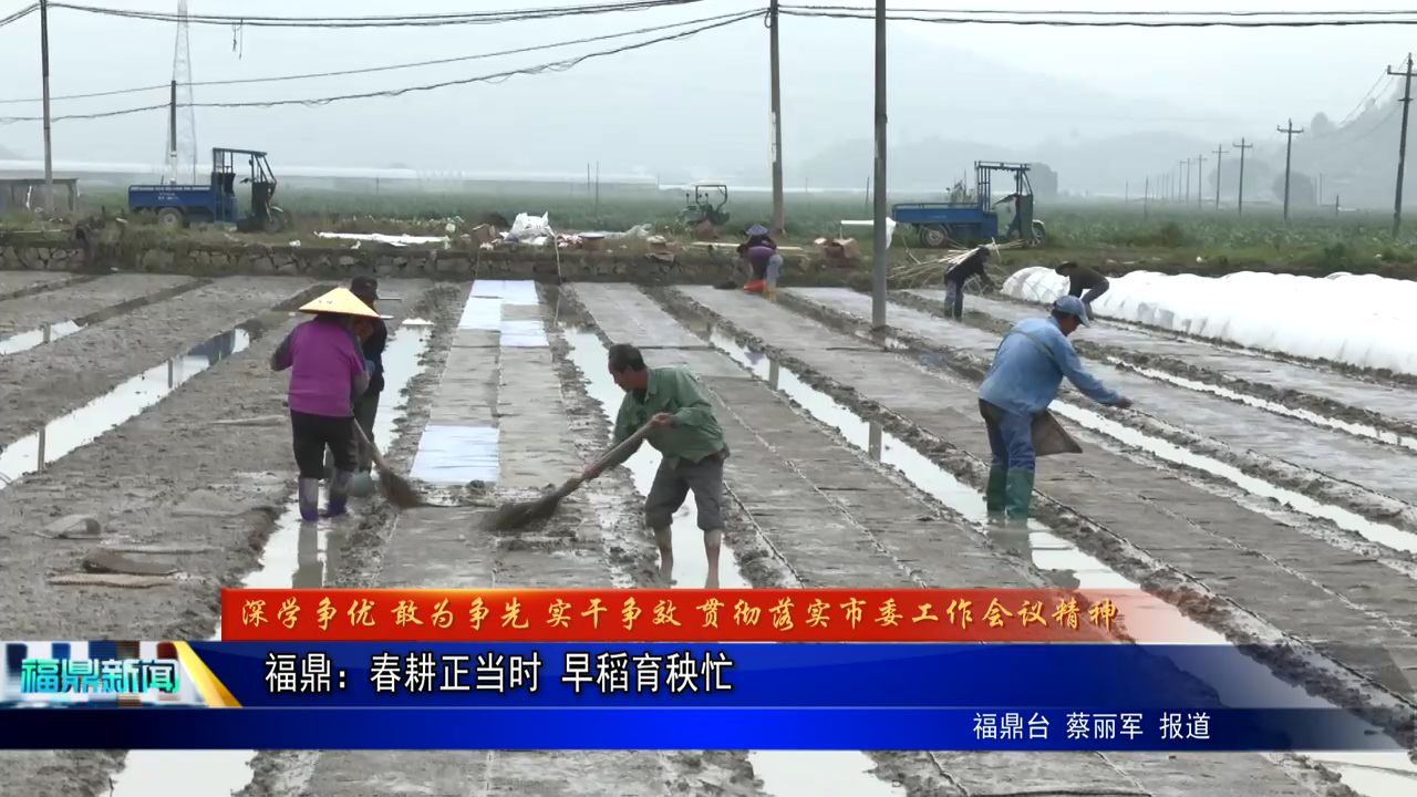 bet365：春耕正当时 早稻育秧忙