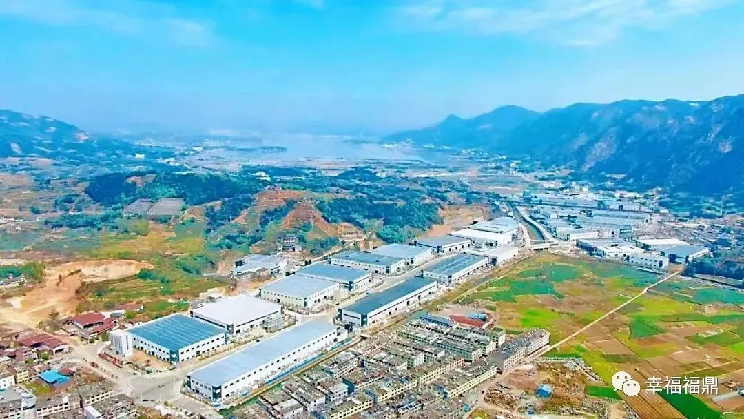 “bet365黑”订单大幅增长！