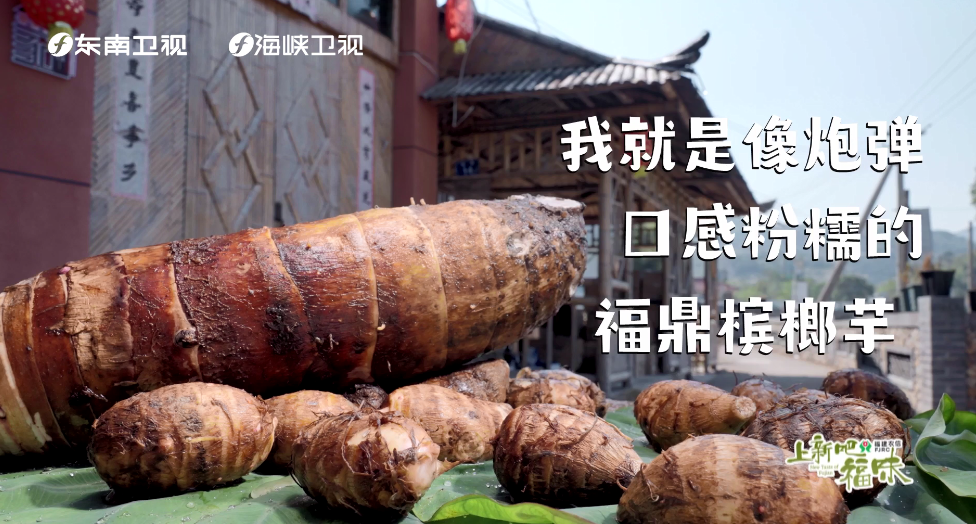 为什么bet365槟榔芋，粉得我心都化了？