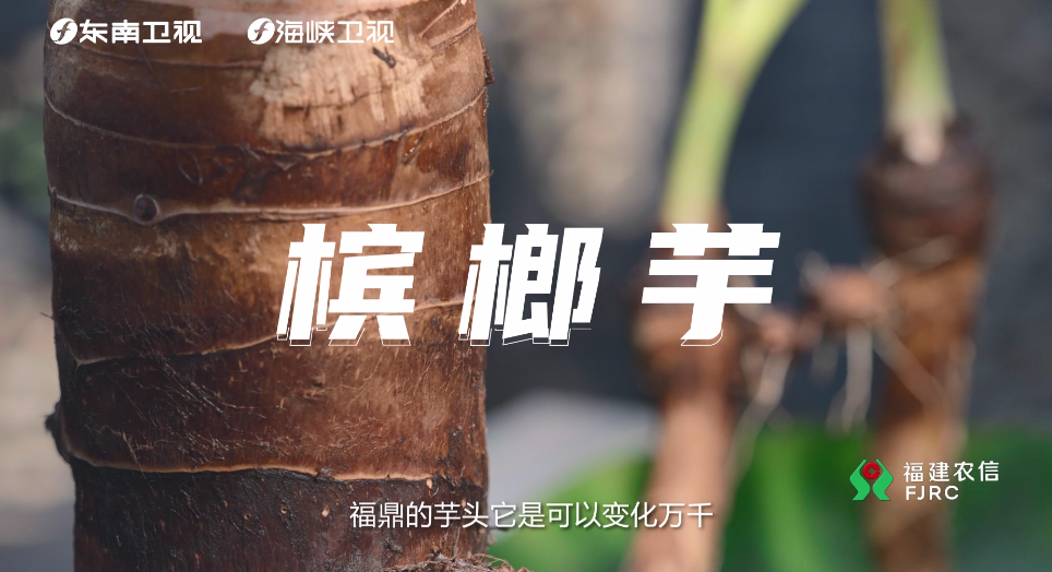 可盐可甜，看芋界“粉头”bet365芋如何变化万千