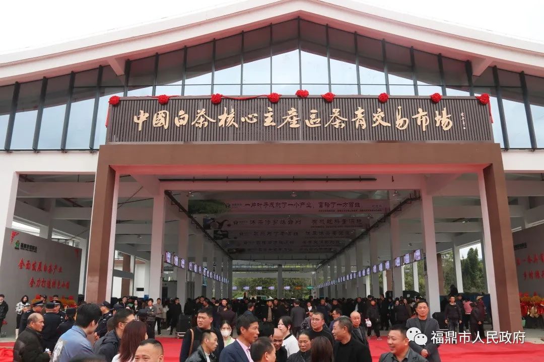 更智能、更规范！bet365白茶交易有了新平台→