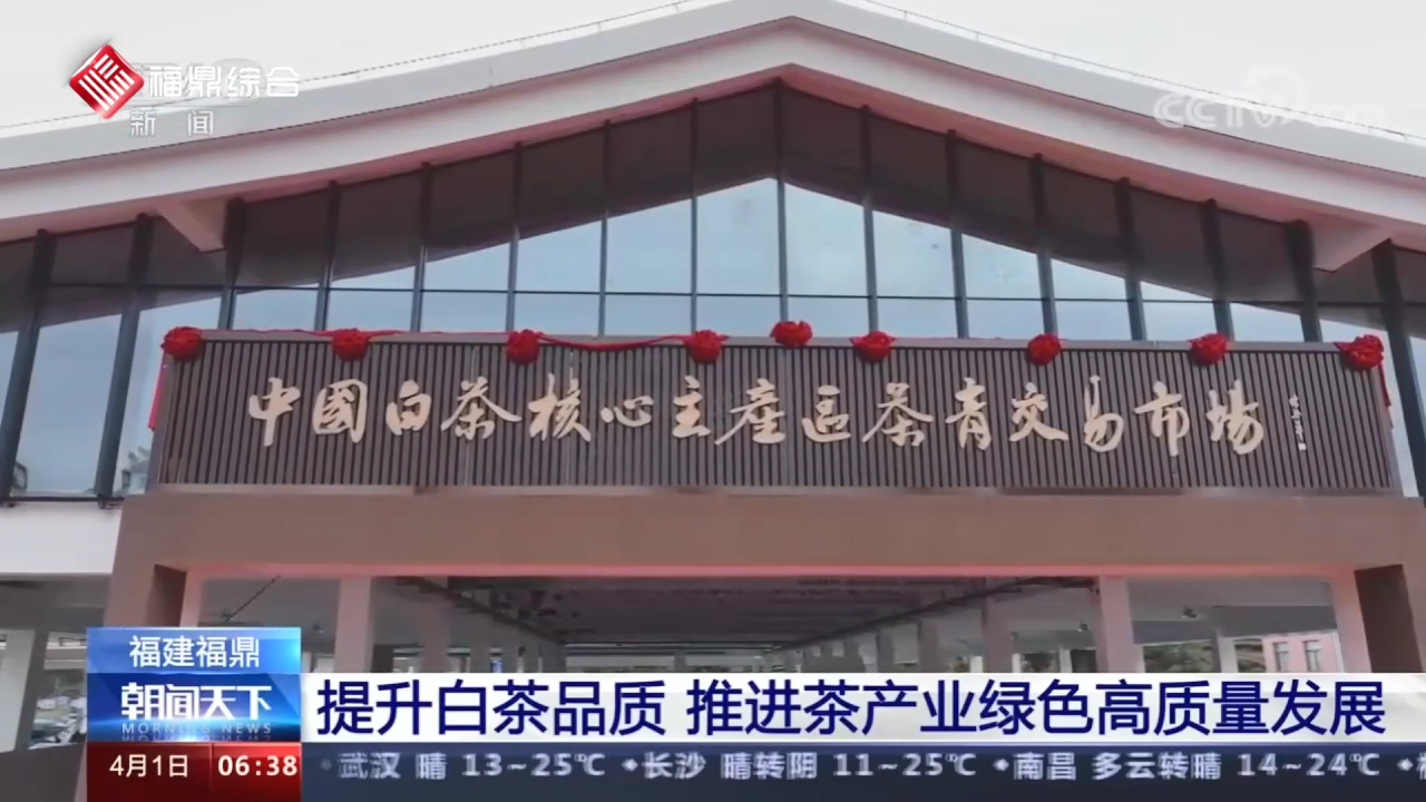 福建bet365：提升白茶品质 推进茶产业绿色高质量发展